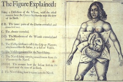 1177 b.19《图解》，子宫图，选自简-夏普著《助产书或助产术全解》，伦敦 作者 英语学校