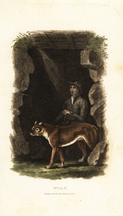 18 世纪英国绅士和他驯服的狼 Canis lupus 在洞穴入口处 作者 英语学校