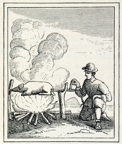 来自&39;Santo Domingo过去和现在&39;的Boucan，来自Samuel Hazard，酒吧。 1873年 作者 英语学校