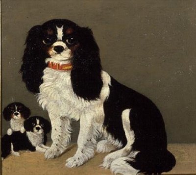 骑士国王查尔斯猎犬与小狗（64046对） 作者 英语学校