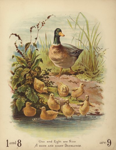 一只鸭子和八只鸭子 (chromolitho) 作者 英语学校