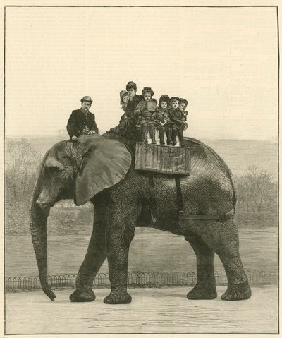 Jumbo上的告别之旅 作者 英语学校