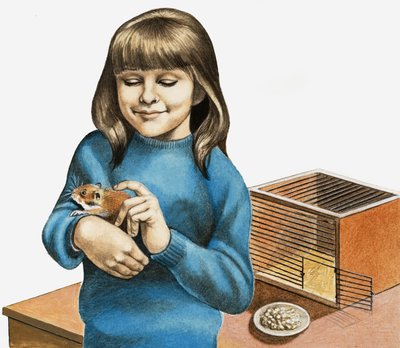 一个女孩和她的仓鼠 作者 英语学校