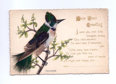 一张用羽毛做成的翠鸟新年贺卡，挂在手绘树上，约1900年 作者 英语学校