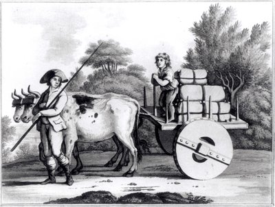 葡萄牙农场，由James Murphy撰写的葡萄牙国家概况，于1797年出版 作者 英语学校