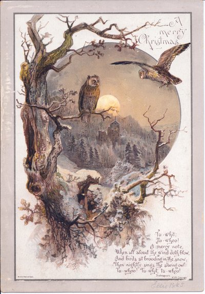 维多利亚时代的圣诞卡，月夜里一只猫头鹰栖息在树枝上，约1880年（彩色平印）。 作者 英语学校