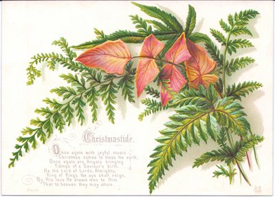 一张带有蕨类植物的维多利亚女王时代的圣诞贺卡，约1880年 作者 英语学校