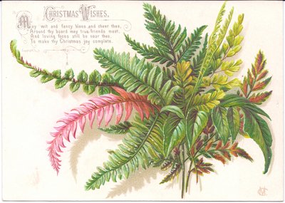 一张带有蕨类植物的维多利亚时代圣诞贺卡，摄于1880年 作者 英语学校
