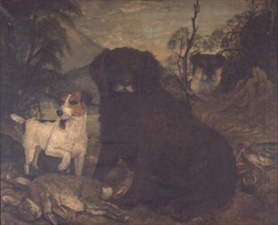 一只水猎犬和两只杰克-罗素犬在日用品袋旁。 作者 英语学校