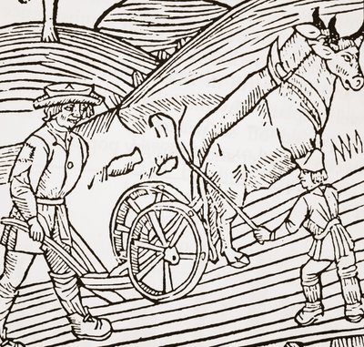 一对牛与一个犁，一个犁，来自John Fitzherberts Boke of Husbandry，第一家酒吧。 1523 作者 英语学校