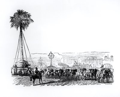 1851年，一棵棕榈树被运往海德公园参加伟大的展览，伦敦 作者 英语学校