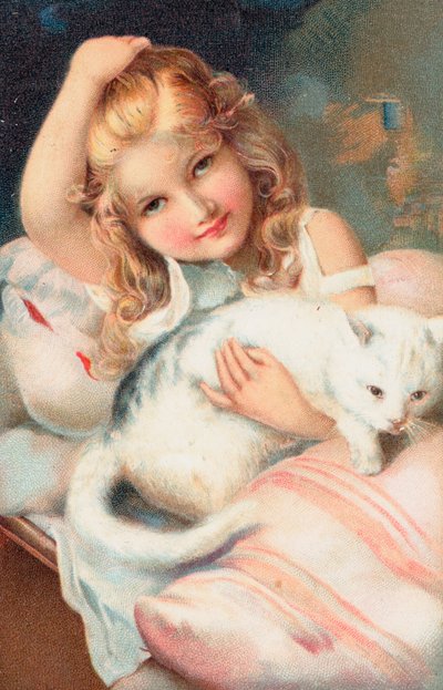 摆在与猫的一个女孩 作者 英语学校