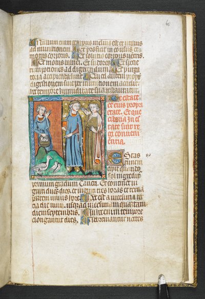 添加 MS 47680，f.65r 亚里士多德指着带给国王的鸟，出自 Secretum Secretorum，约 1326-27 年（牛皮纸）。 作者 英语学校