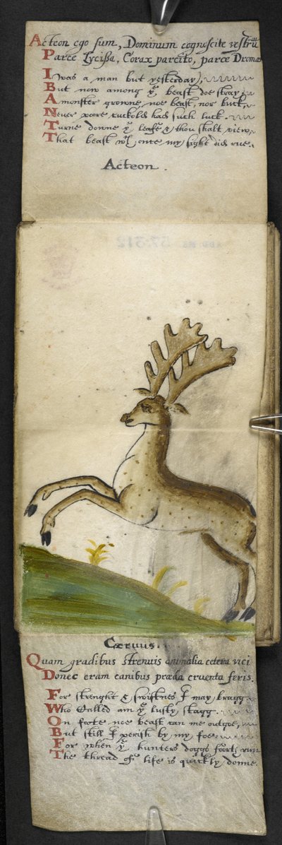 添加 MS 57312 f.15 游戏书（牛皮纸上的墨水和彩色图案） 作者 英语学校