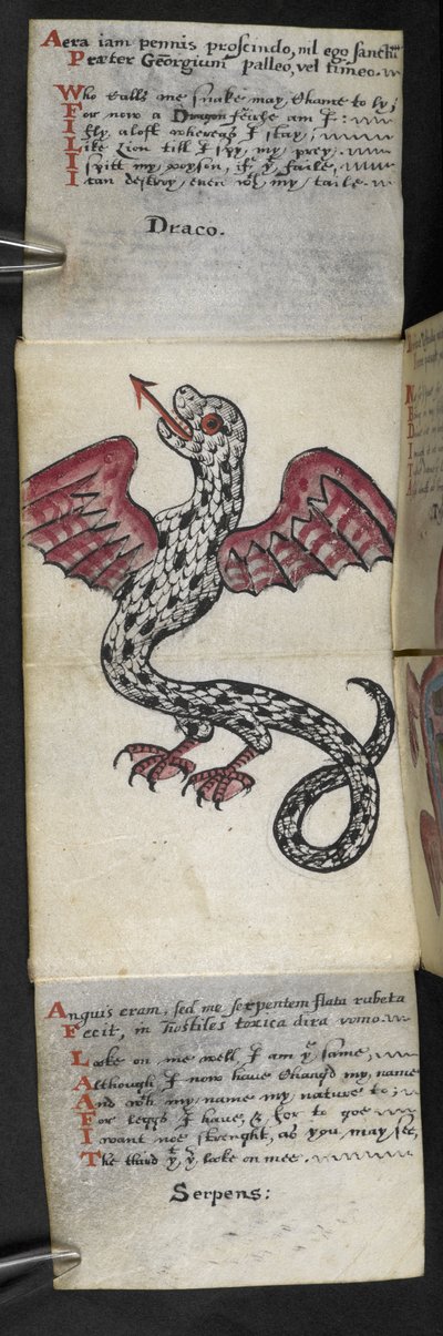 添加 MS 57312 f.3 Game-book（牛皮纸上的墨水和颜色） 作者 英语学校