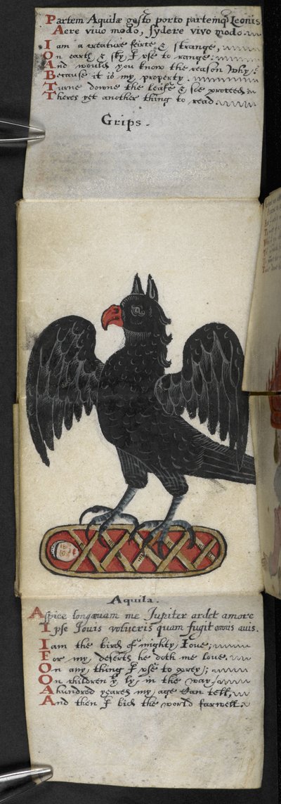 添加 MS 57312 f.8 Game-book（牛皮纸上的墨水和颜色） 作者 英语学校