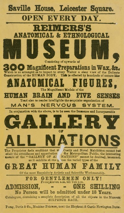 Reimerss Anatomical and Ethnological Museum的广告 作者 英语学校