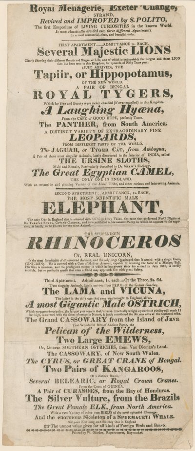 Royal Menagerie，Exeter Change的广告 作者 英语学校