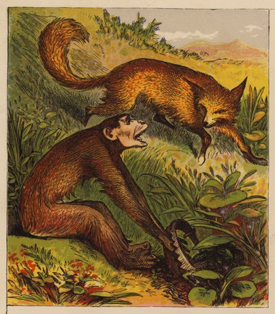 伊索寓言：狐狸和猿猴》（彩色印刷版） 作者 英语学校