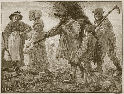 第一次改革议会时的农业劳动者，插图来自卡塞尔斯画报英国历史（棕褐色照片） 作者 英语学校