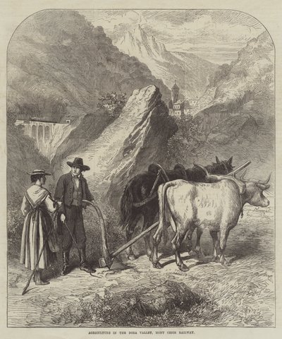 多拉谷的农业，Mont Cenis 铁路（雕刻） 作者 英语学校