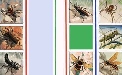 各种各样的昆虫 作者 英语学校