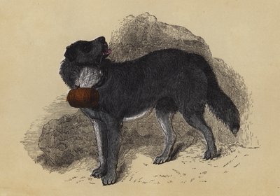 高山獒犬（彩色石印版） 作者 英语学校