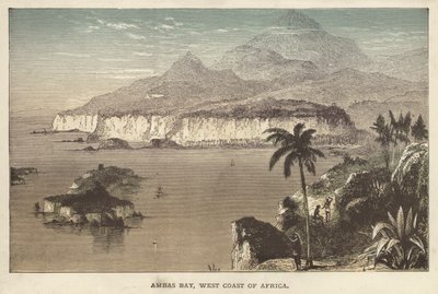 Ambas Bay, West Coast of Africa (coloured engraving) 作者 英语学校