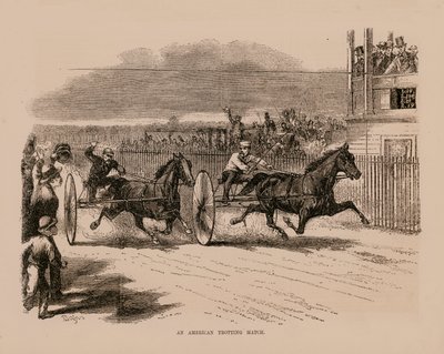 美国小跑比赛（雕刻） 作者 英语学校