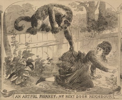 一只狡猾的猴子，我的隔壁邻居》，插图选自 1872 年 8 月 24 日的《警察新闻画报》（平版）。 作者 英语学校