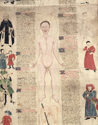 解剖图，来自De Arte phisicali e de cirugia，John Ardene，1412 作者 英语学校