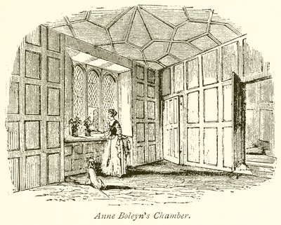 Anne Boleyns Chamber 作者 英语学校