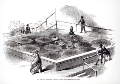 安妮帕克斯顿于1849年在查茨沃斯的大音乐学院里睡莲 作者 英语学校