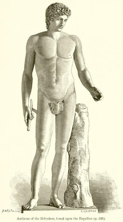 在Esquiline上发现的Belvedere的Antinous 作者 英语学校