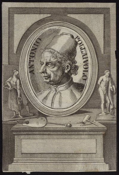 Antonio del Pollaiolo 作者 英语学校