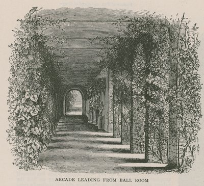 通往Ball Room，荷兰之家的拱廊 作者 英语学校