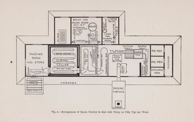 Arrangement of bacon factory to deal with thirty to fifty pigs per week (litho) 作者 英语学校