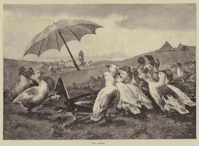 艺术评论家（版画） 作者 英语学校