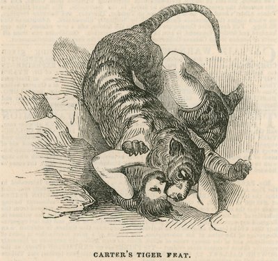 Astleys Amphitheatre，伦敦 -  Carters tiger feat 作者 英语学校