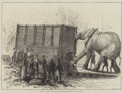 试图从动物园中移除巨型大象（石版画） 作者 英语学校
