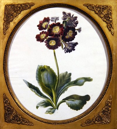 曙光，约1850年（纸上水彩）。 作者 英语学校