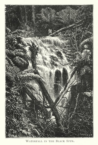 Australia: Waterfall in the Black Spur (engraving) 作者 英语学校