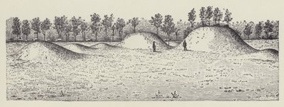 密西西比州华盛顿县阿芳代尔土墩（石版画） 作者 英语学校