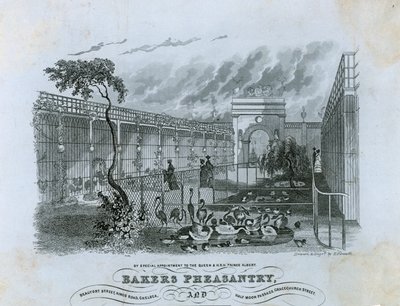 Bakers Pheasantry，切尔西 作者 英语学校