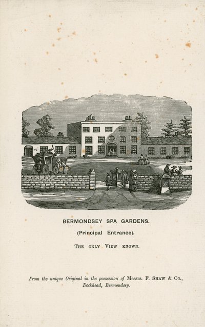 Bermondsey温泉花园 作者 英语学校