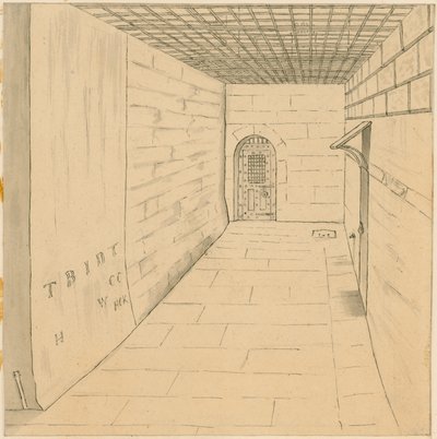 鸟笼走在纽盖特监狱 作者 英语学校