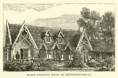 彼得马里茨堡的主教Colensos House 作者 英语学校