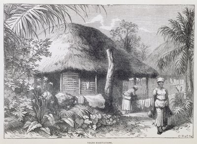 黑人居住地，出自塞缪尔-哈扎德的《圣多明各的过去和现在》，1873年出版（雕刻）。 作者 英语学校