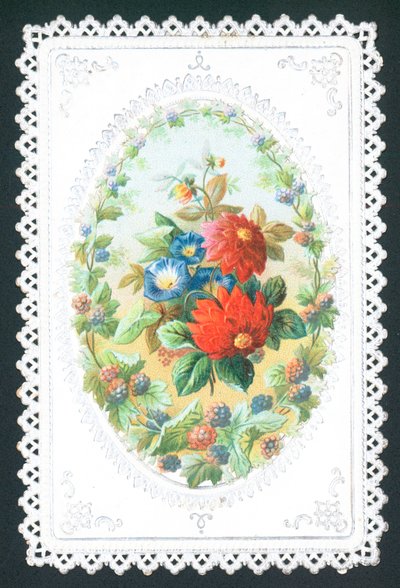 黑莓广告鲜花，卡 作者 英语学校