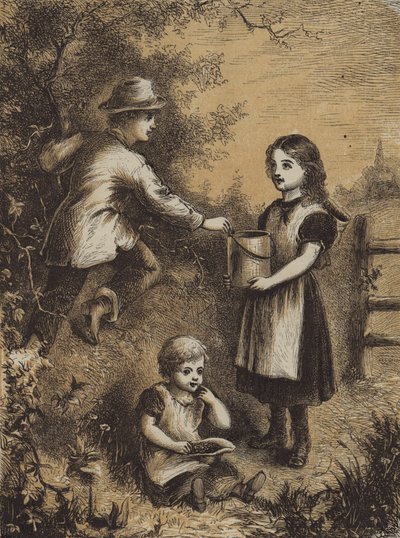 黑莓（彩色雕刻） 作者 英语学校